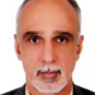 دکتر محمدرضا برقی