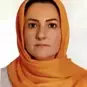 نوشین شاه قلی